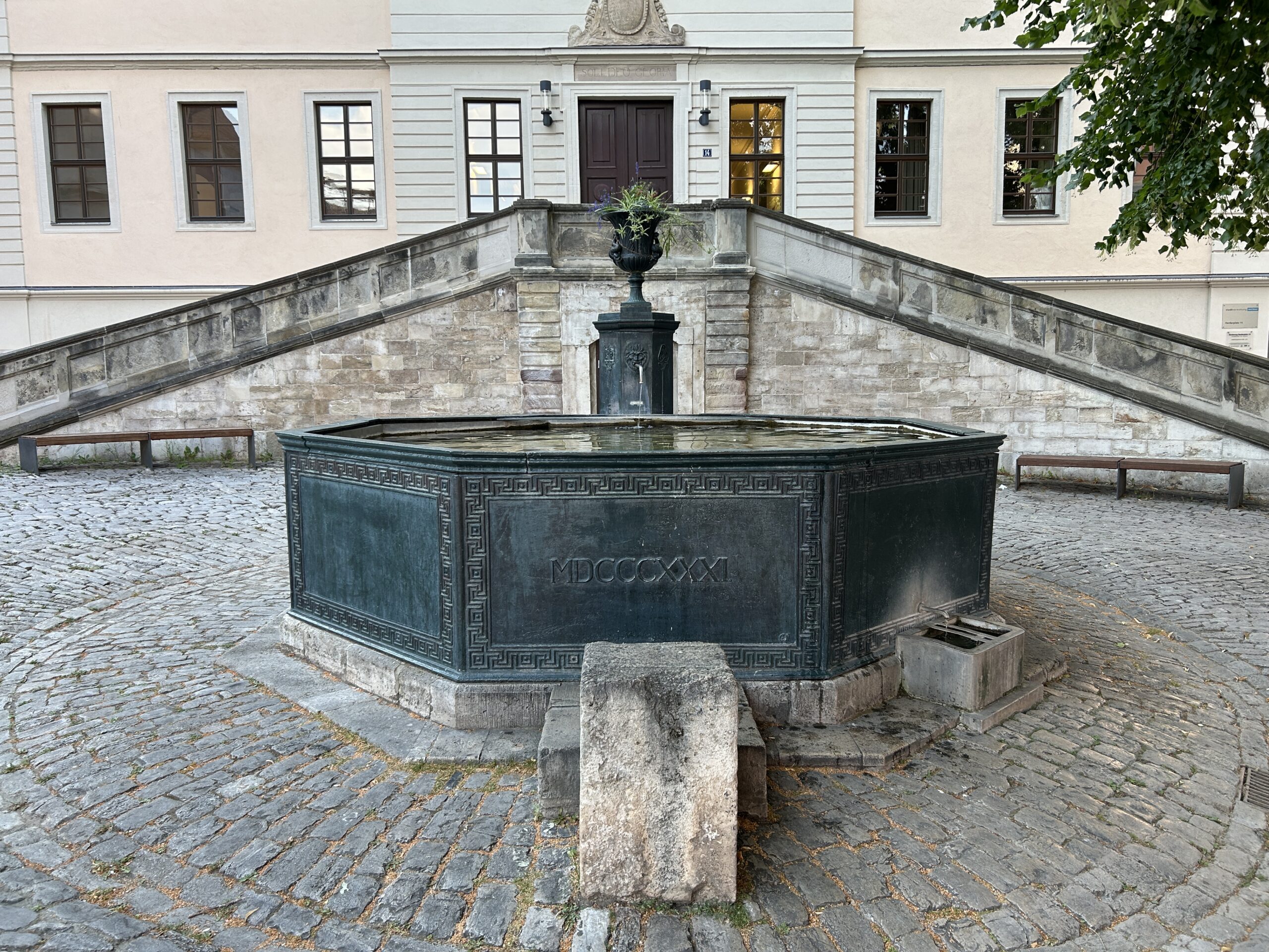 IMG_1494