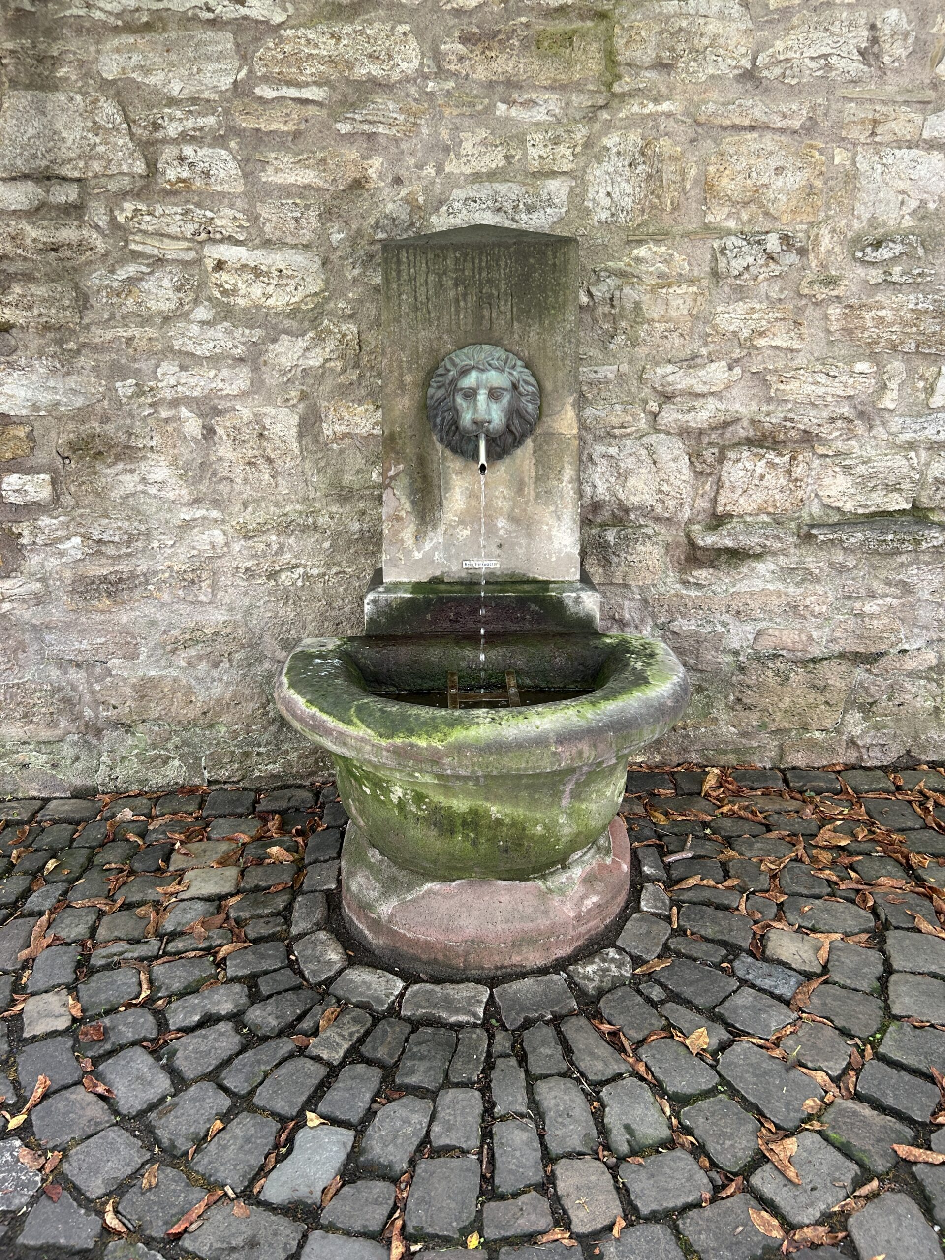 IMG_3535