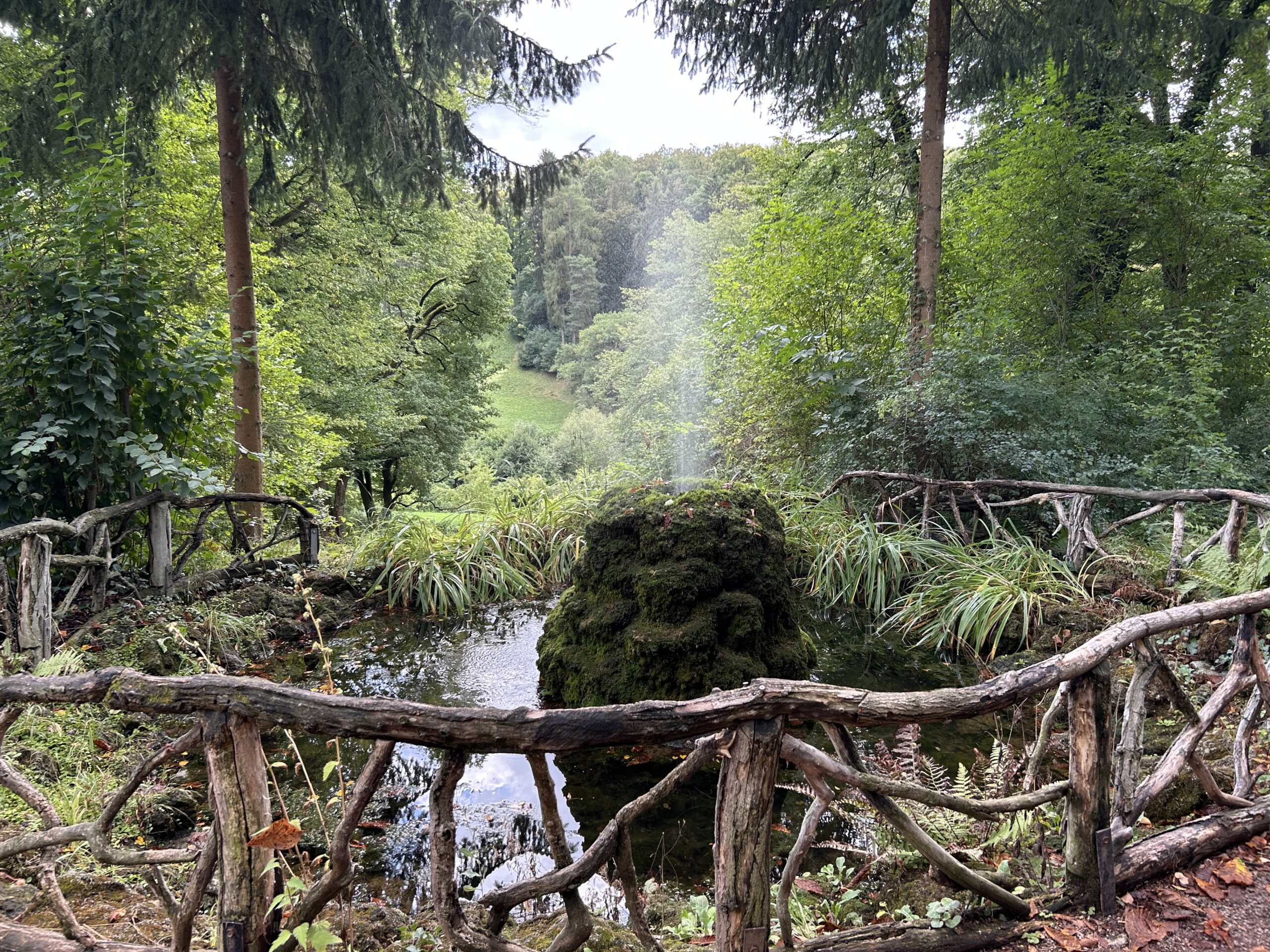IMG_3613