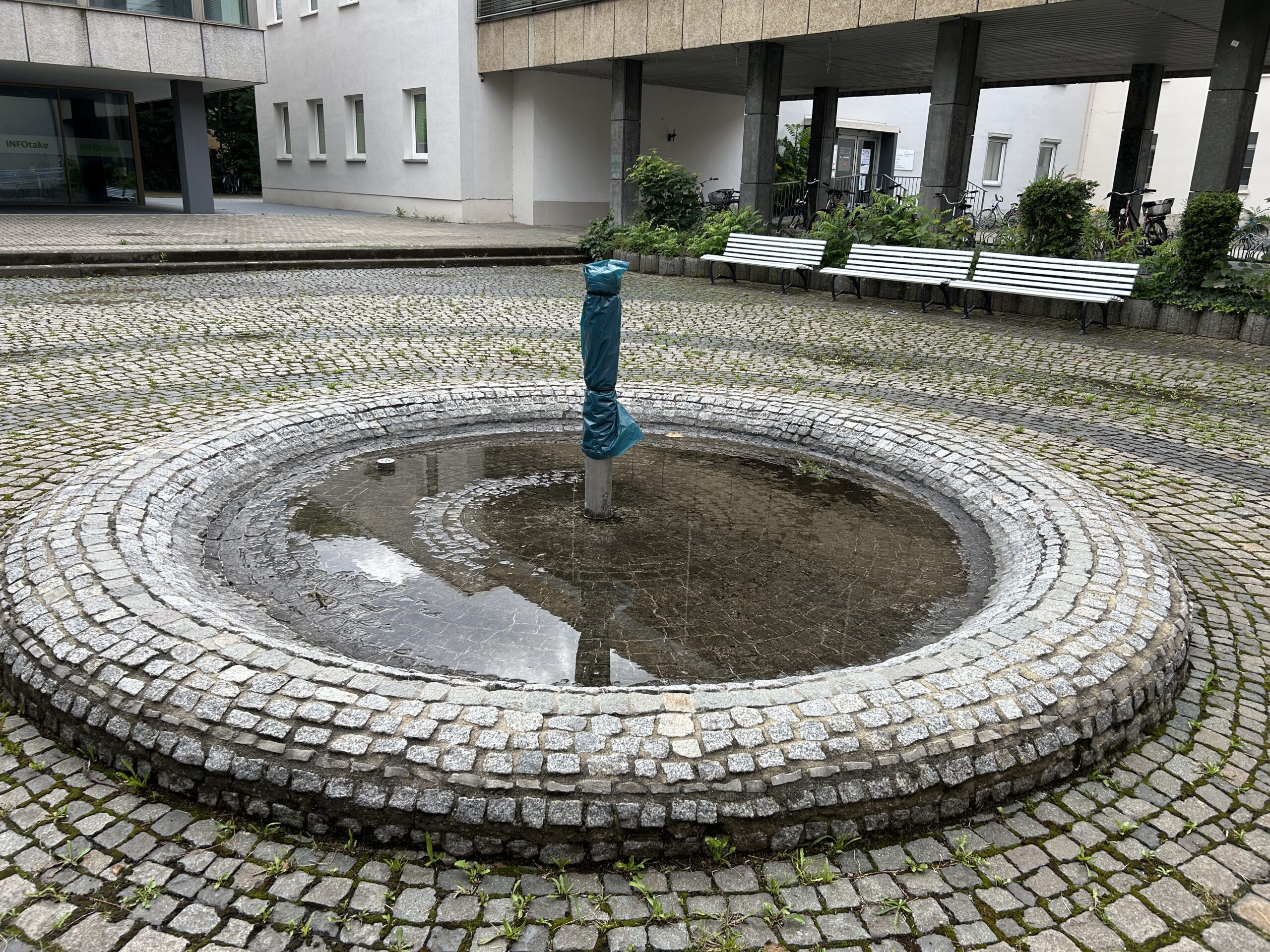 IMG_3635
